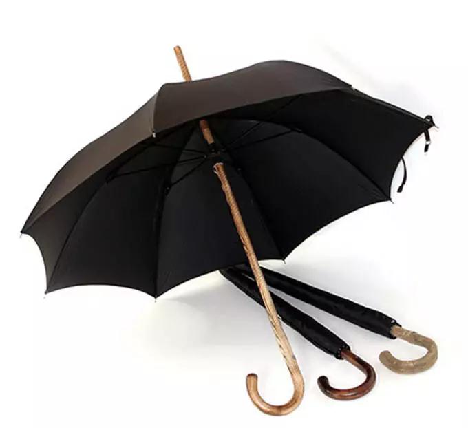 榴莲APP官方下载进入网站免费雨伞
