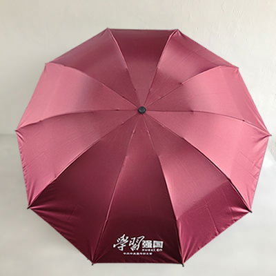 反向伞骨精品榴莲APP官方下载进入网站免费伞
