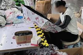 榴莲APP官方下载进入网站免费伞